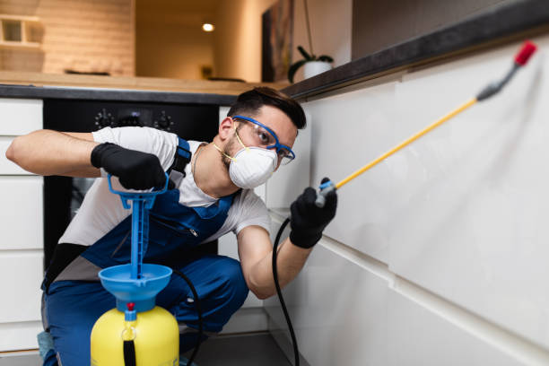 Best Bed Bug Extermination  in Lake Dalecarlia, IN
