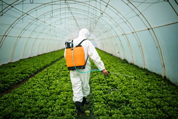 Best Best Pest Control Companies  in Lake Dalecarlia, IN