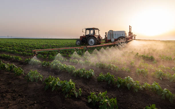 Best Commercial Pest Control Services  in Lake Dalecarlia, IN