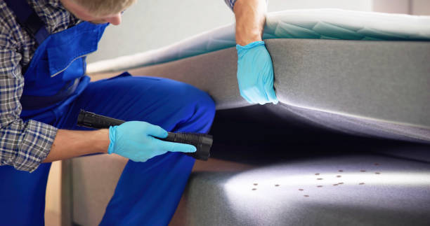 Wasp Removal Services in Lake Dalecarlia, IN