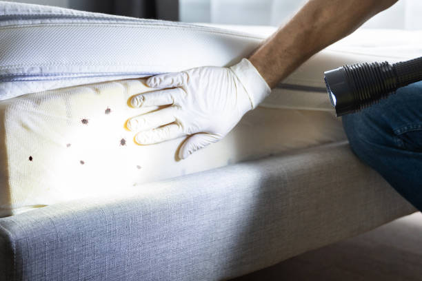 Best Residential Pest Control  in Lake Dalecarlia, IN