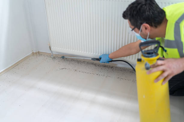 Best Mosquito Control Services  in Lake Dalecarlia, IN
