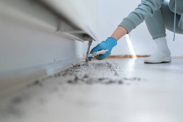 Best Rat Extermination Near Me  in Lake Dalecarlia, IN